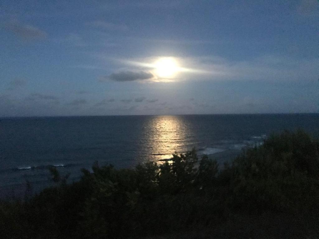 Pipatoa Bungalows Praia de Pipa Bagian luar foto
